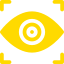 vision